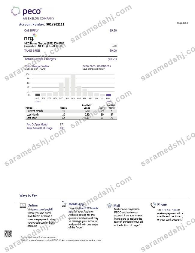 USA Pennsylvania PECO electric and gas utility bill, 3 pages 2